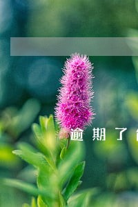 逾期了能还清吗 逾期了能还清吗