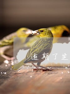 逾期了芝麻分一直不涨 逾期了芝麻分一直不涨