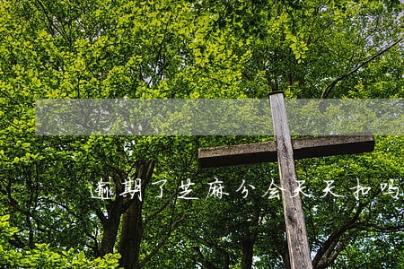 逾期了芝麻分会天天扣吗 逾期了芝麻分会天天扣吗