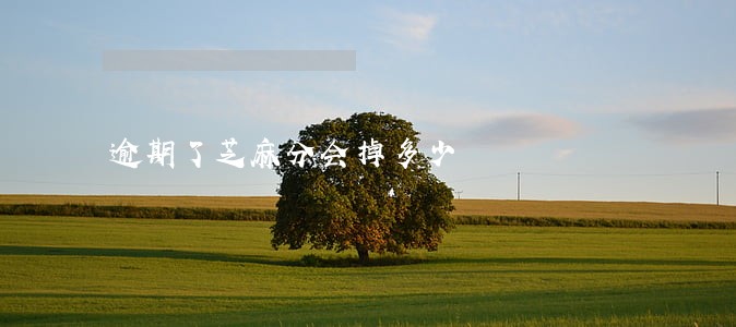逾期了芝麻分会掉多少 逾期了芝麻分会掉多少