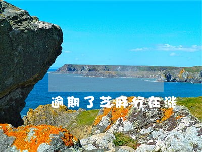 逾期了芝麻分在涨 逾期了芝麻分在涨