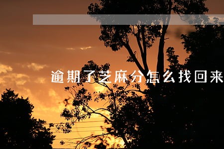 逾期了芝麻分怎么找回来 逾期了芝麻分怎么找回来