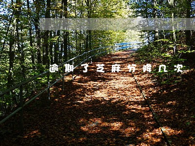 逾期了芝麻分降几次 逾期了芝麻分降几次