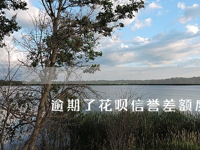 逾期了花呗信誉差额度怎么提升 逾期了花呗信誉差额度怎么提升