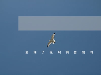 逾期了花呗有影响吗 逾期了花呗有影响吗