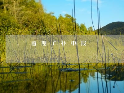 逾期了补申报 逾期了补申报