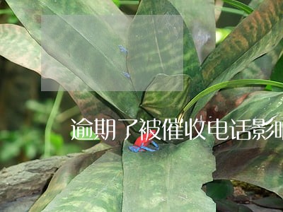 逾期了被催收电话影响了工作 逾期了被催收电话影响了工作