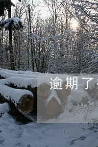 逾期了被催款人骚扰家人怎么解决 逾期了被催款人骚扰家人怎么解决