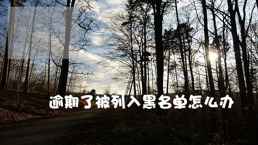 逾期了被列入黑名单怎么办 逾期了被列入黑名单怎么办