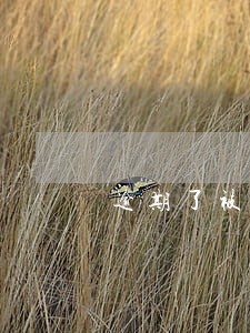逾期了被打电话给家人 逾期了被打电话给家人