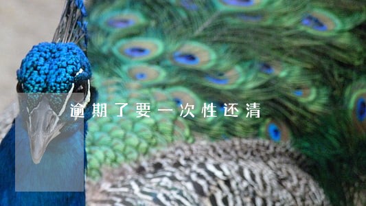 逾期了要一次性还清 逾期了要一次性还清