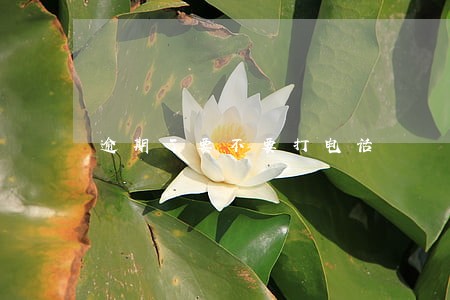 逾期了要不要打电话 逾期了要不要打电话
