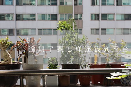 逾期了要怎样还钱到平台 逾期了要怎样还钱到平台