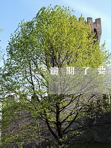 逾期了要我一次性付清合法吗 逾期了要我一次性付清合法吗