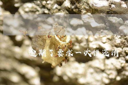 逾期了要求一次性还清 逾期了要求一次性还清