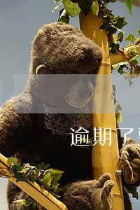 逾期了要求提供流水证明合法用途 逾期了要求提供流水证明合法用途
