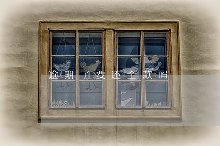 逾期了要还全款吗 逾期了要还全款吗