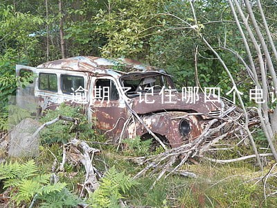 逾期了记住哪四个电话 逾期了记住哪四个电话