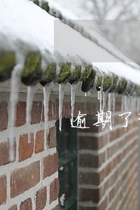 逾期了该怎么协商 逾期了该怎么协商