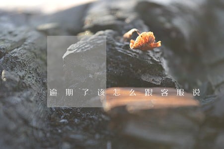 逾期了该怎么跟客服说 逾期了该怎么跟客服说