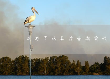 逾期了说取消分期要我一次性还完