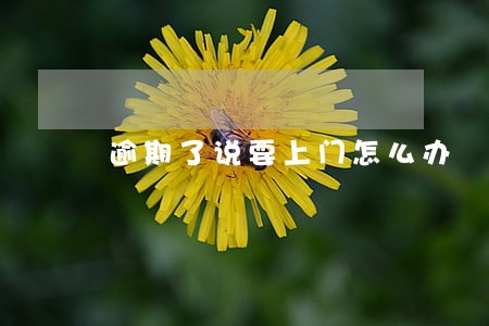 逾期了说要上门怎么办