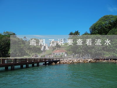 逾期了说要查看流水 逾期了说要查看流水
