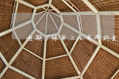 逾期了账单上没有滞纳金 逾期了账单上没有滞纳金