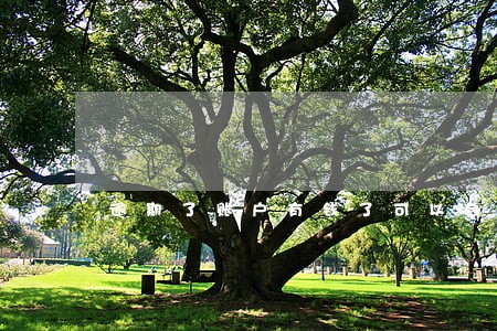 逾期了账户有钱了可以自己扣吗 逾期了账户有钱了可以自己扣吗