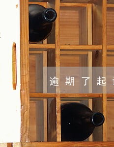 逾期了起诉朋友