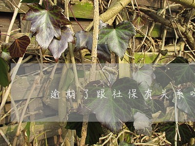 逾期了跟社保有关系吗 逾期了跟社保有关系吗