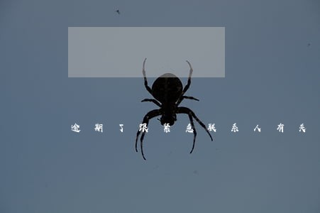 逾期了跟紧急联系人有关系吗 逾期了跟紧急联系人有关系吗