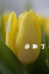 逾期了车怎么办信用卡 逾期了车怎么办信用卡