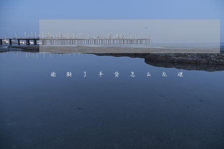 逾期了车贷怎么处理