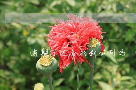 逾期了还会找到公司吗 逾期了还会找到公司吗
