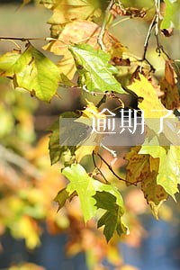 逾期了还会提额度吗 逾期了还会提额度吗