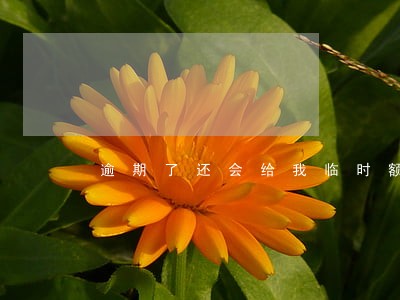 逾期了还会给我临时额度吗 逾期了还会给我临时额度吗