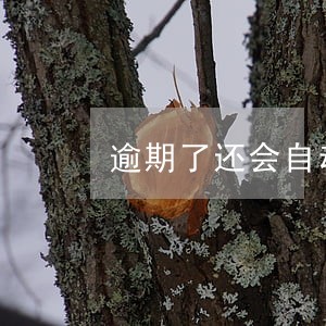 逾期了还会自动扣钱吗 逾期了还会自动扣钱吗
