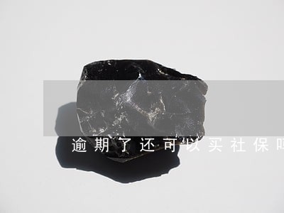 逾期了还可以买社保吗 逾期了还可以买社保吗