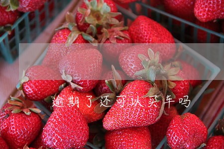 逾期了还可以买车吗