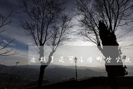 逾期了还可以借哪些货款