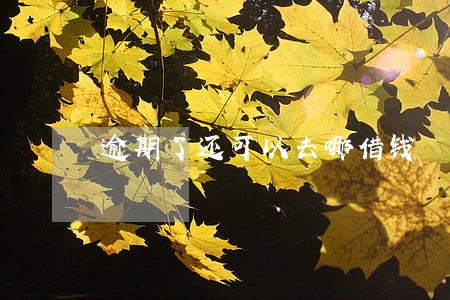 逾期了还可以去哪借钱