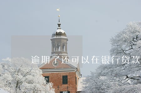 逾期了还可以在银行贷款吗 逾期了还可以在银行贷款吗