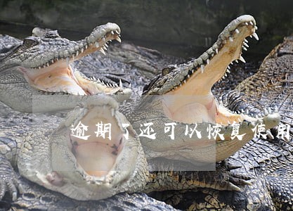 逾期了还可以恢复使用吗
