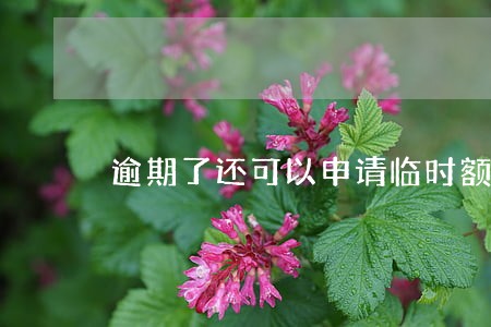 逾期了还可以申请临时额度吗 逾期了还可以申请临时额度吗