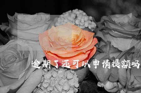逾期了还可以申请提额吗 逾期了还可以申请提额吗