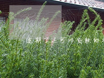 逾期了还可以贷款的平台 逾期了还可以贷款的平台