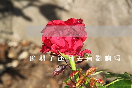 逾期了还回去有影响吗 逾期了还回去有影响吗