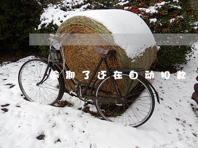 逾期了还在自动扣款 逾期了还在自动扣款