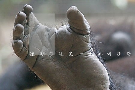 逾期了还完一年后对房贷有影响吗 逾期了还完一年后对房贷有影响吗